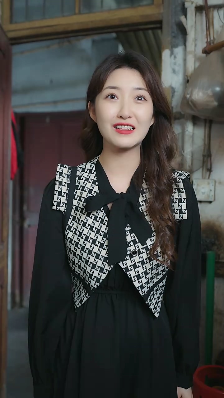 华夏不败战龙第1-20集