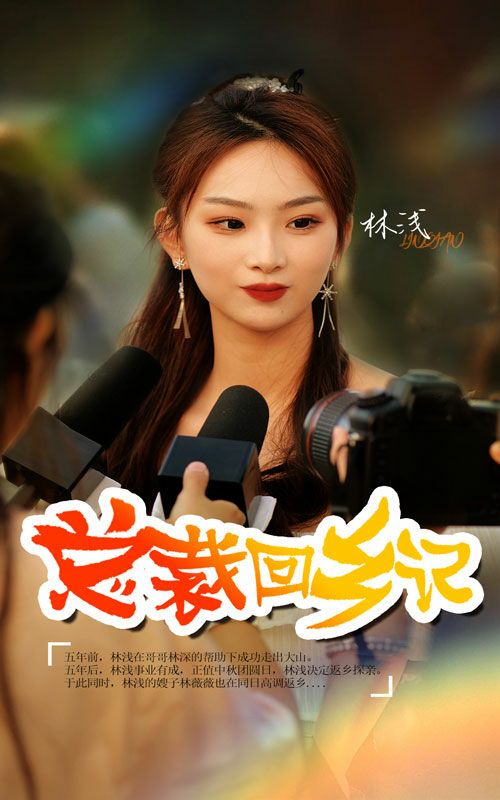 总裁回乡记第06集