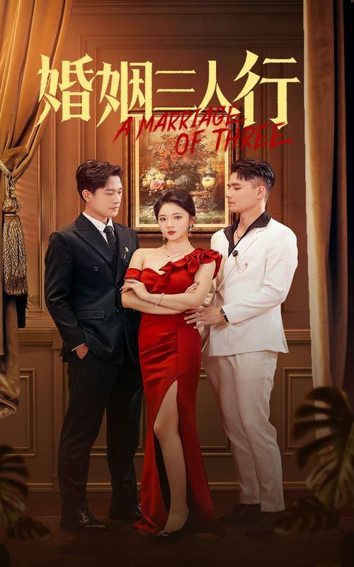 婚姻三人行全集完结(大结局)