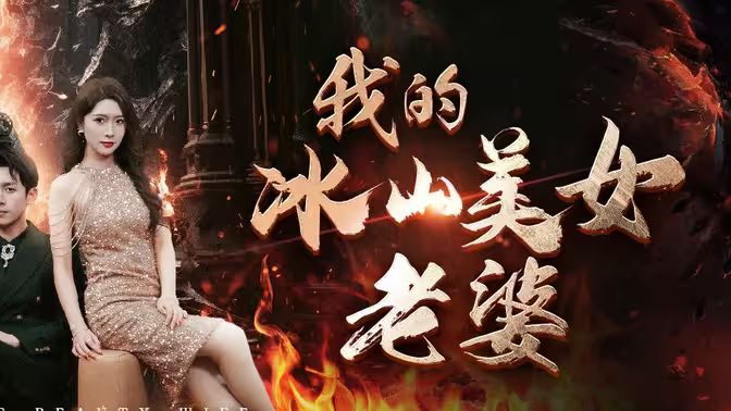 我的冰山美女老婆第1-20集