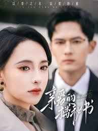 亲爱的楼秘书第1-20集