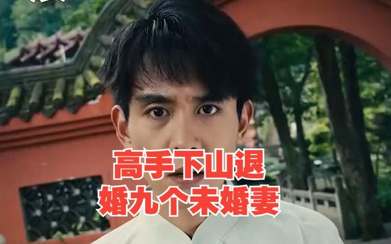 高手下山退婚九个未婚妻第1-20集