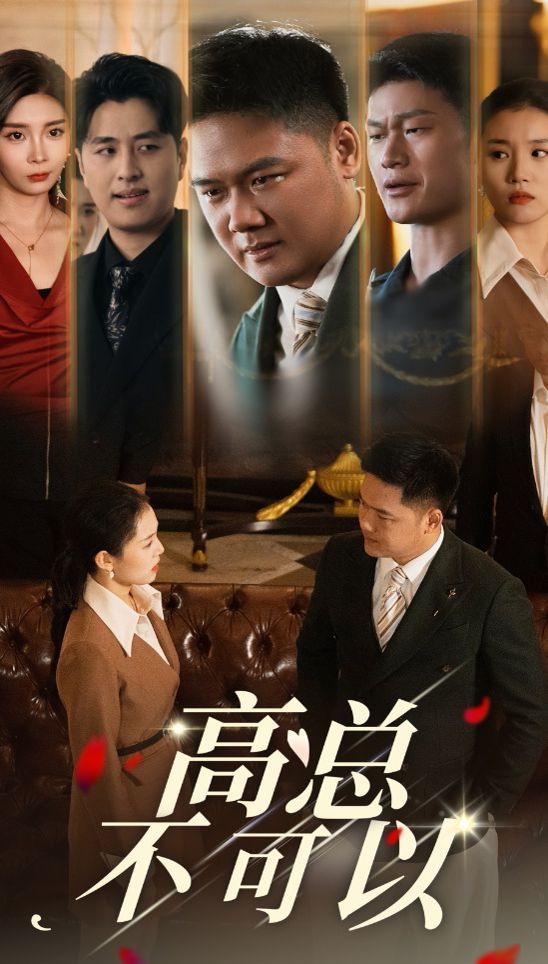 高总不可以第1-20集