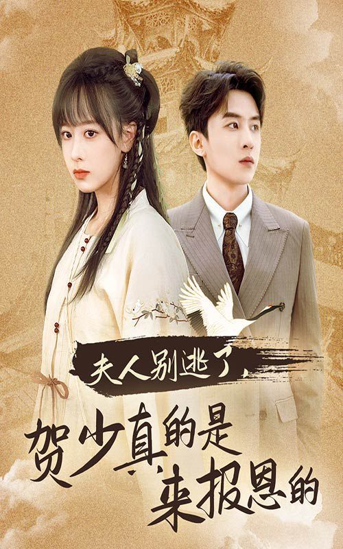 夫人别逃了贺少真的是来报恩的第1-20集