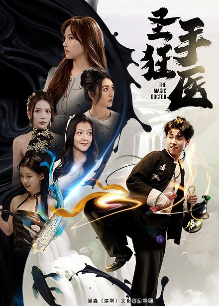 圣手狂医第1-20集