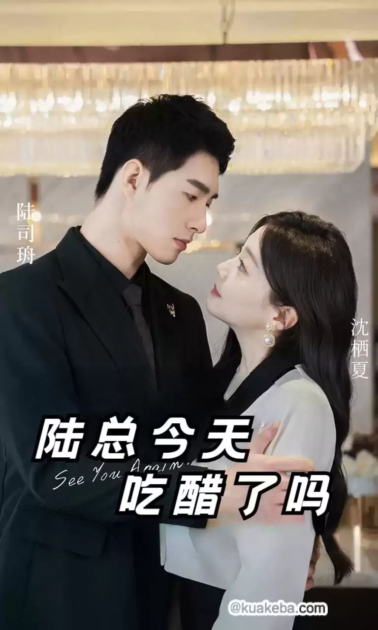 陆总今天吃醋了吗第21-40集