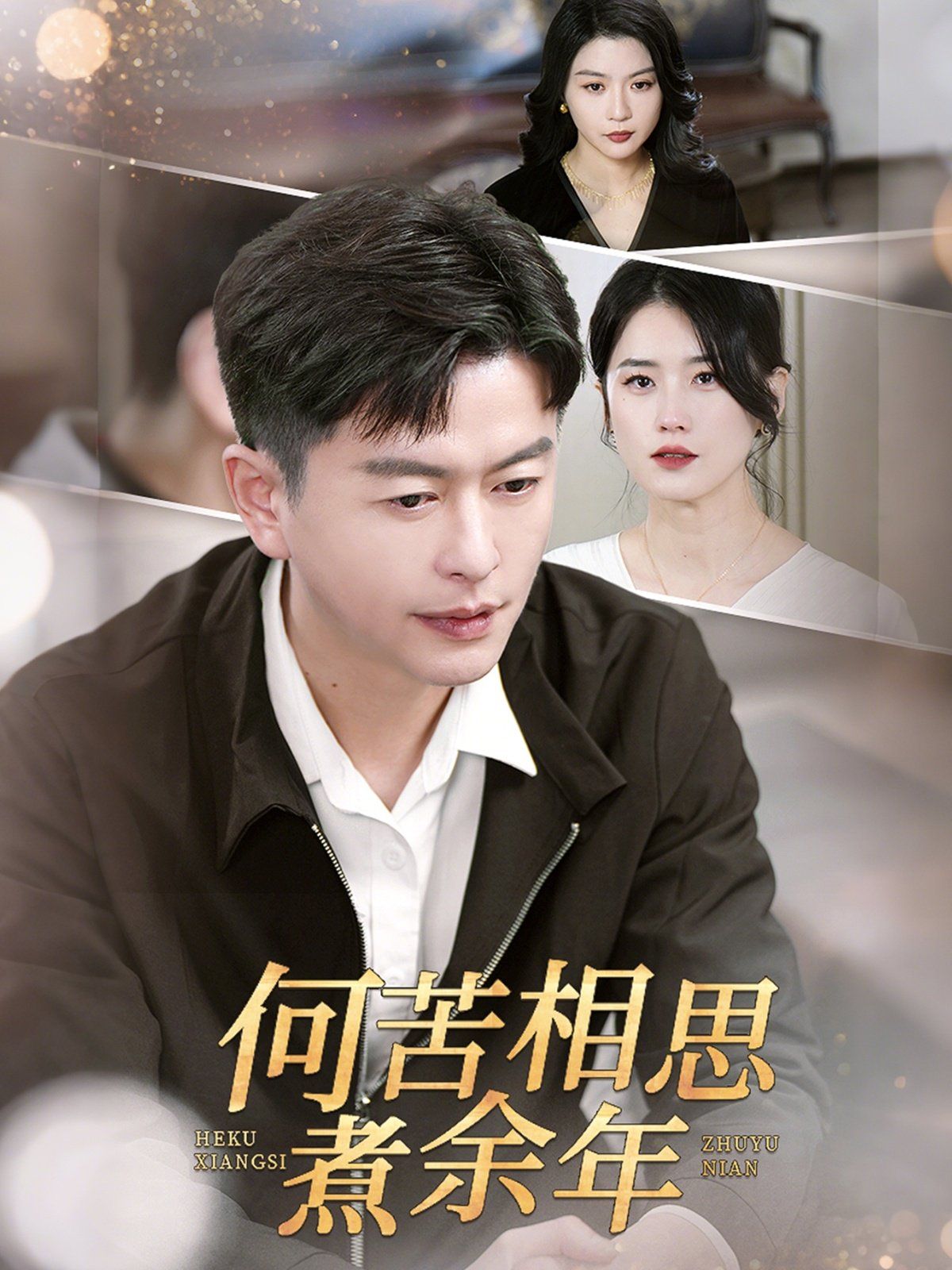 何苦相思煮余年第1-20集