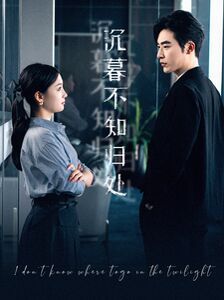 沉暮不知归处第41-60集