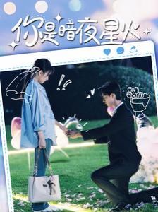 你是暗夜星火第1-20集