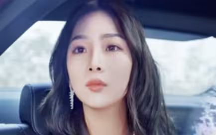 女总裁还乡又美又飒第1-40集