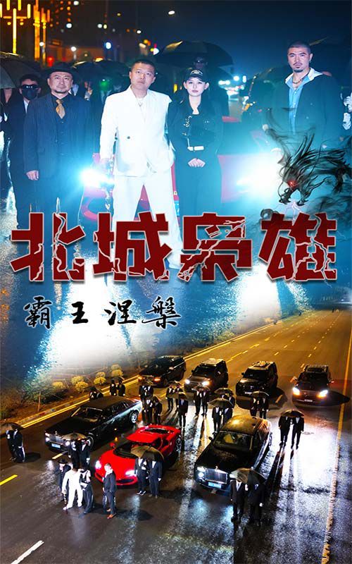 北城枭雄，霸王涅槃第1-20集