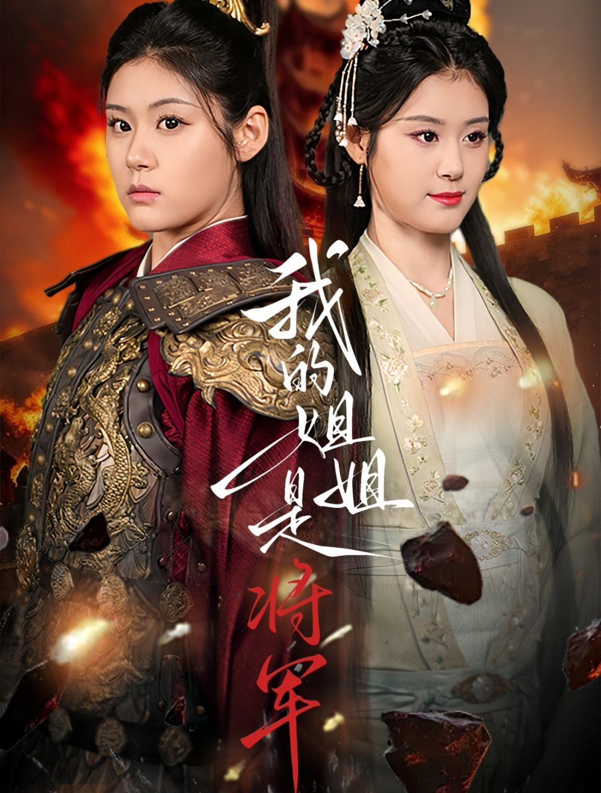 我的姐姐是将军第1-20集