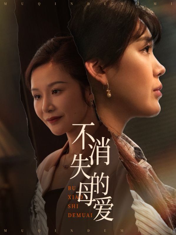 不消失的母爱第1-20集