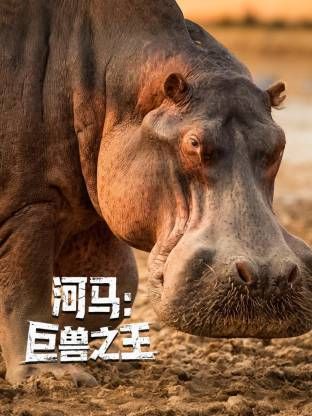 河马：巨兽之王(全集)
