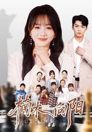 楠木向阳(全集)